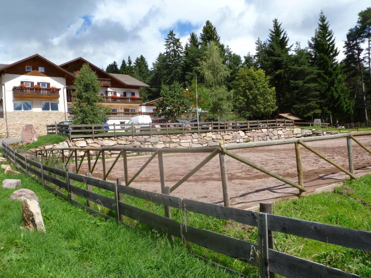 Готель Reiterhof Edelweiss Сан-Дженезіо-Атезіно Екстер'єр фото