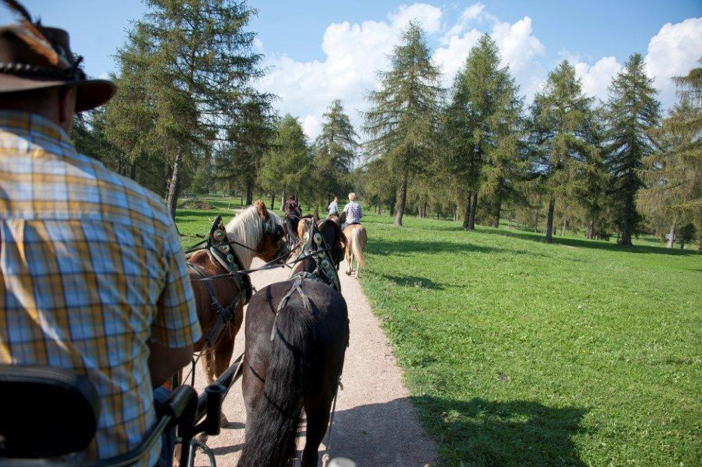 Готель Reiterhof Edelweiss Сан-Дженезіо-Атезіно Екстер'єр фото