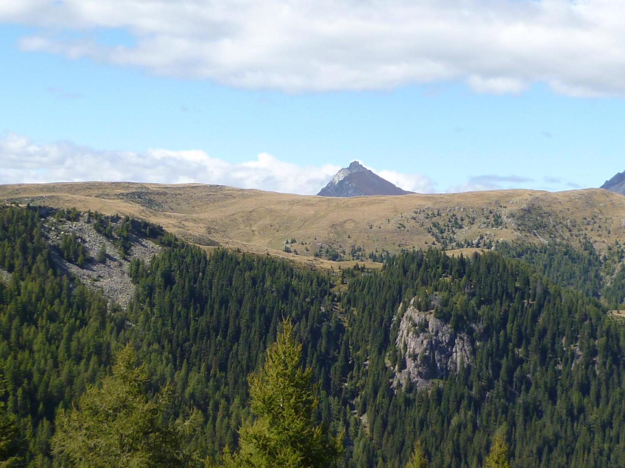 Готель Reiterhof Edelweiss Сан-Дженезіо-Атезіно Екстер'єр фото