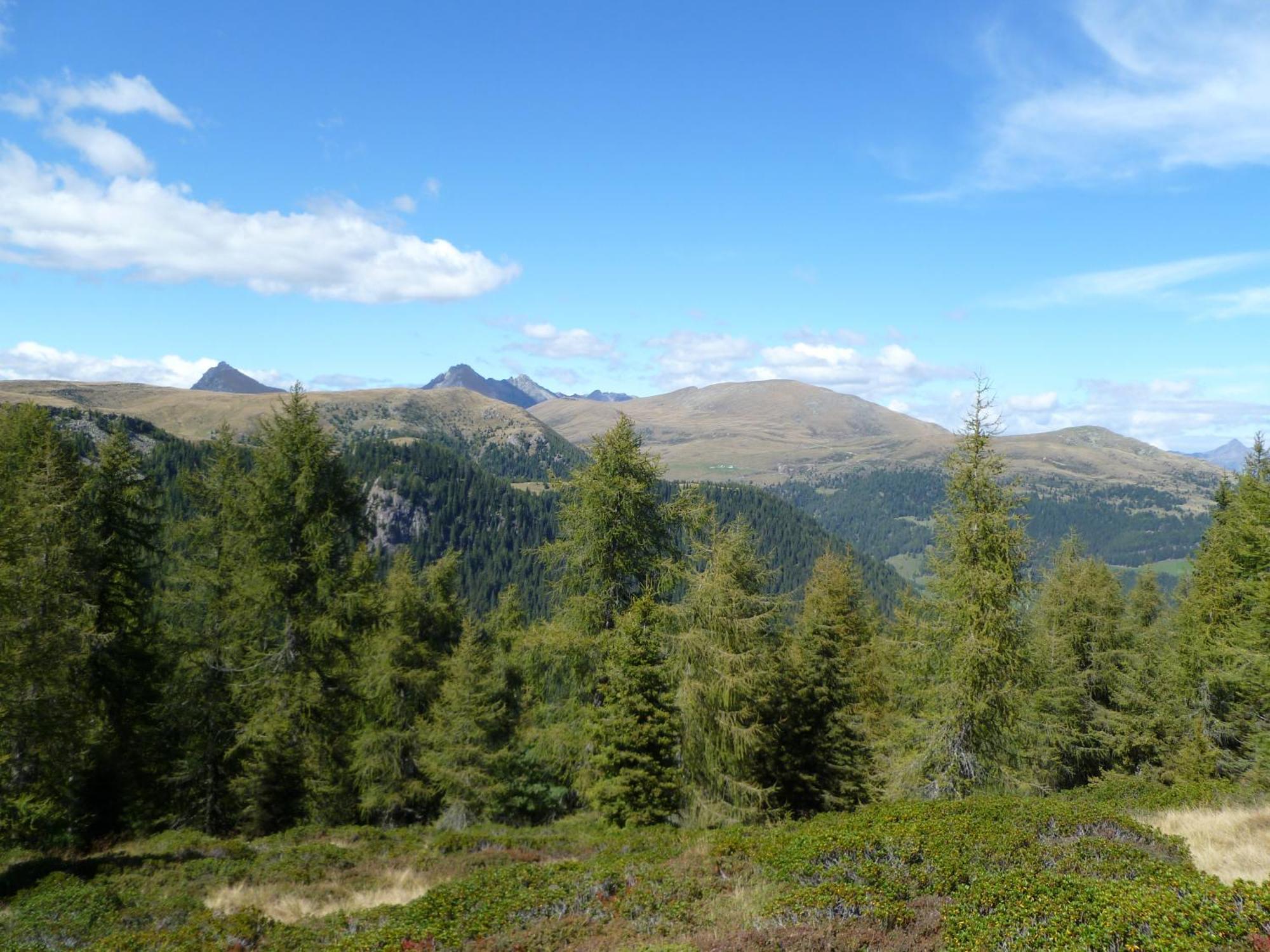 Готель Reiterhof Edelweiss Сан-Дженезіо-Атезіно Екстер'єр фото